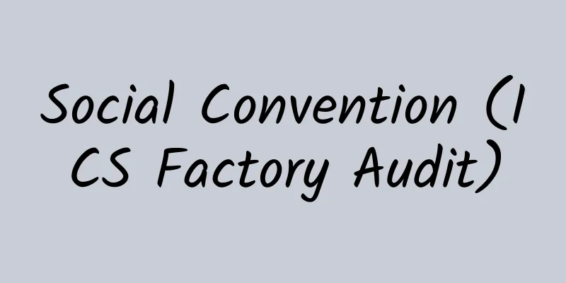 Social Convention (ICS Factory Audit)