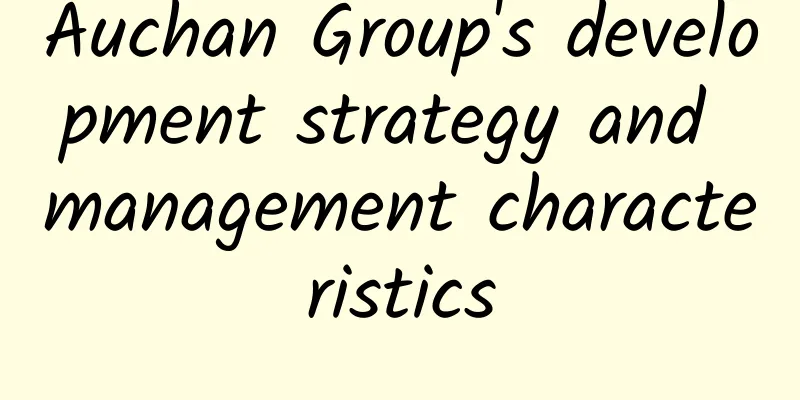 Auchan Group's development strategy and management characteristics
