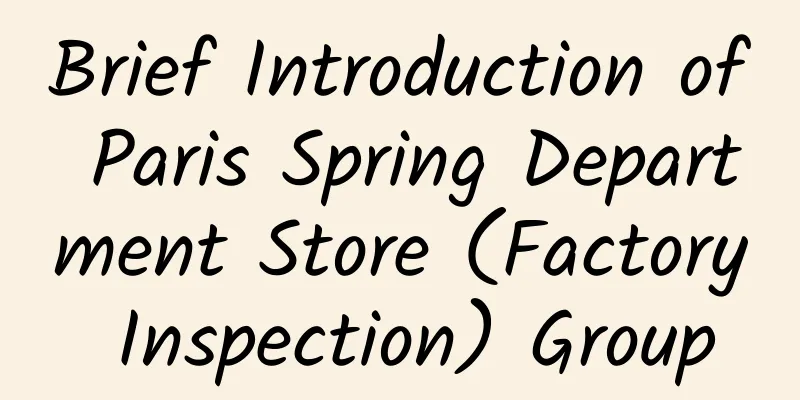 Brief Introduction of Paris Spring Department Store (Factory Inspection) Group