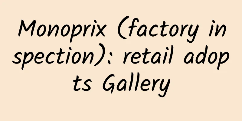 Monoprix (factory inspection): retail adopts Gallery