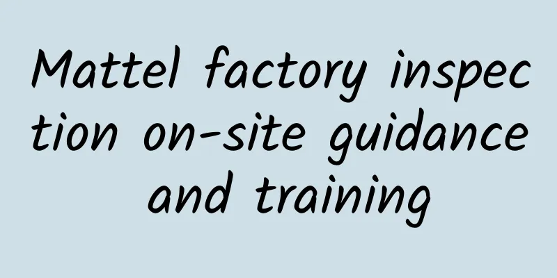 Mattel factory inspection on-site guidance and training