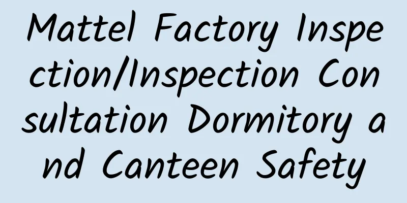 Mattel Factory Inspection/Inspection Consultation Dormitory and Canteen Safety