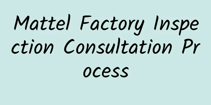 Mattel Factory Inspection Consultation Process