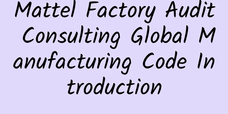 Mattel Factory Audit Consulting Global Manufacturing Code Introduction