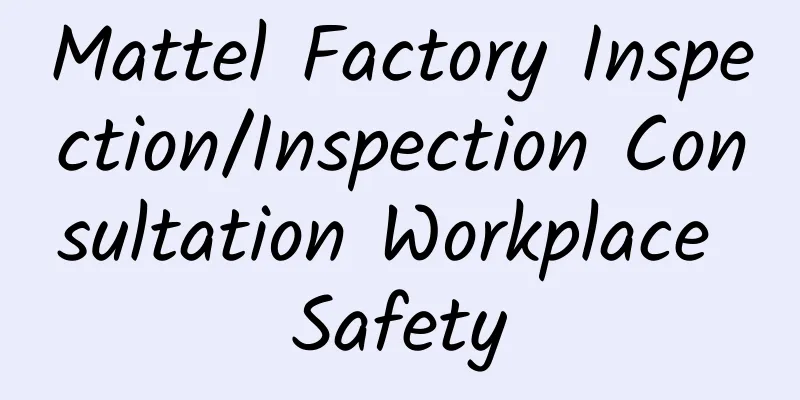 Mattel Factory Inspection/Inspection Consultation Workplace Safety