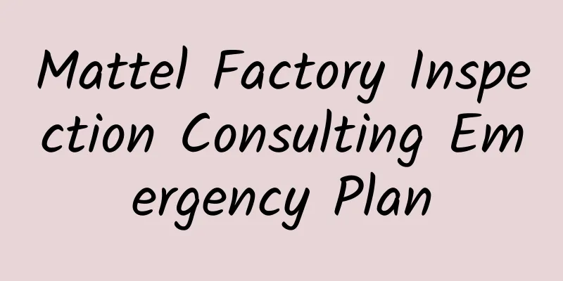 Mattel Factory Inspection Consulting Emergency Plan