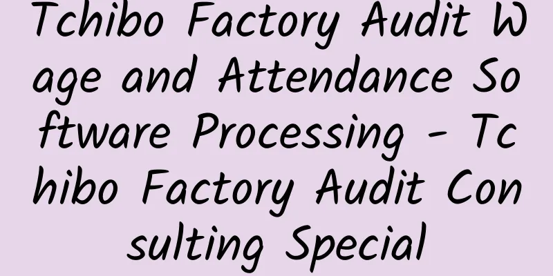 Tchibo Factory Audit Wage and Attendance Software Processing - Tchibo Factory Audit Consulting Special
