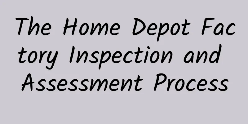 The Home Depot Factory Inspection and Assessment Process