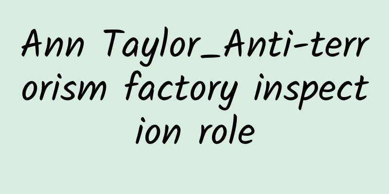 Ann Taylor_Anti-terrorism factory inspection role