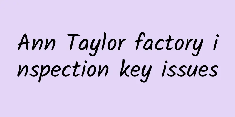 Ann Taylor factory inspection key issues