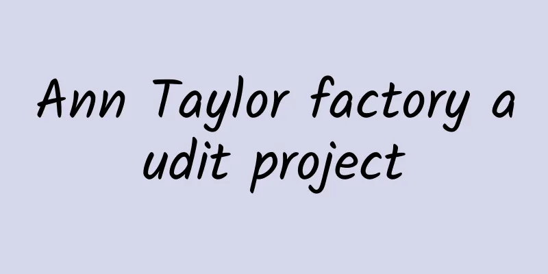 Ann Taylor factory audit project