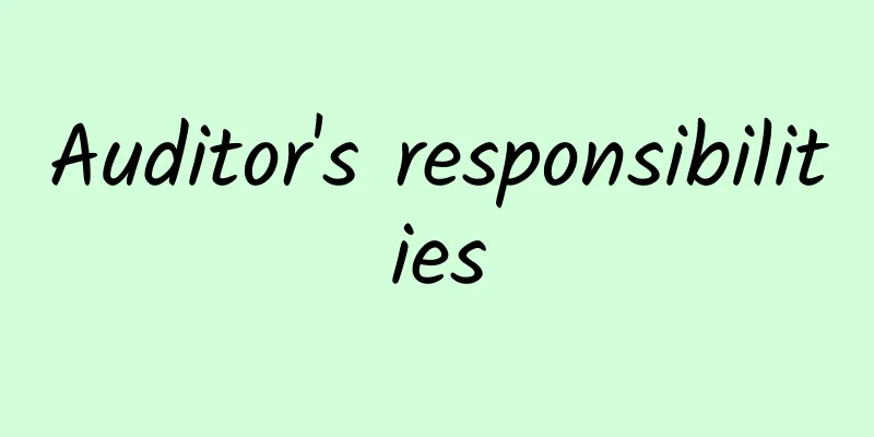 Auditor's responsibilities