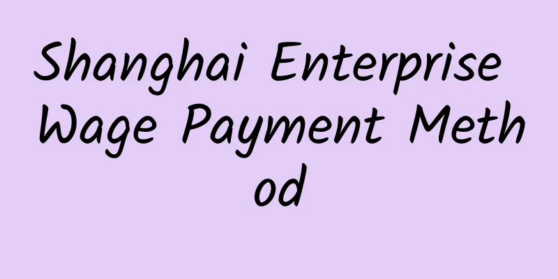 Shanghai Enterprise Wage Payment Method