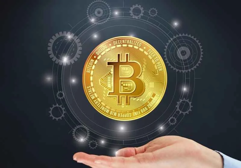 ビットコインの機関投資家時代：2025年は市場の成熟化への転換点となるか