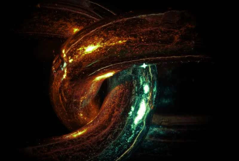 チェーンリンク（LINK）は、クジラの買い増しが長期的な信頼感を示していることから、18ドルを超えて反発した。