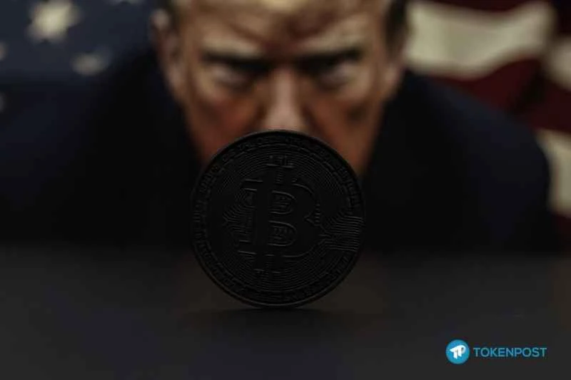 [社説] 仮想通貨市場を崩壊させたブラックスワン